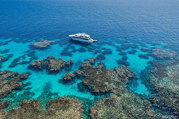 Scuba divers exploring vibrant coral reefs in Saudi Arabia’s Red Sea, highlighting why the region is becoming a new liveaboard hotspot.