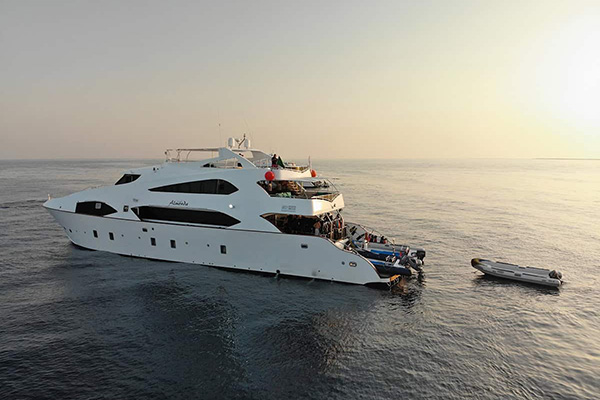 Liveaboard diving in Saudi Arabia’s Red Sea with divers exploring coral reefs, shipwrecks, and vibrant marine life along top itineraries.